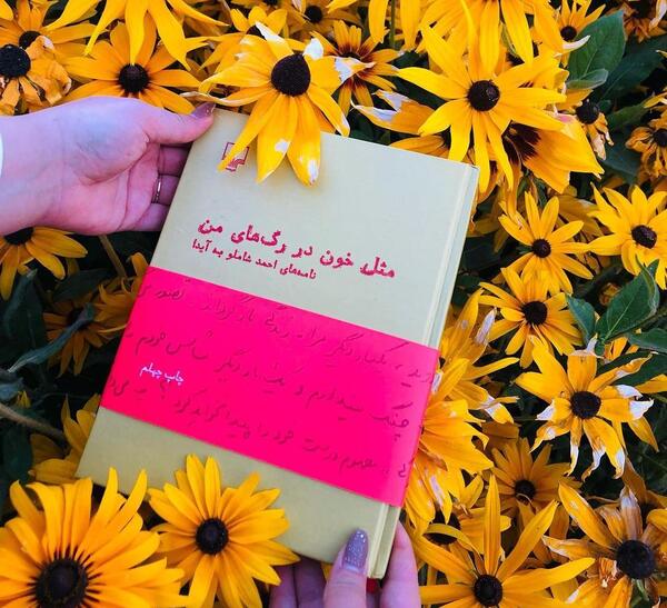 شاملو و آیدا عکس نوشته
