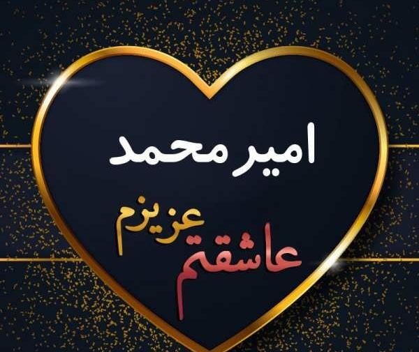 عکس امیر محمد غلامی