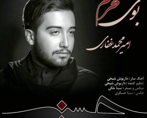 عکس امیر محمد غلامی