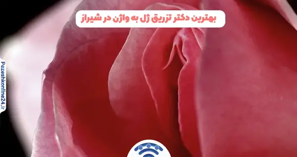عکس قبل و بعد تزریق ژل به واژن