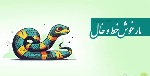 عکس پروفایل طلا که پاکه چه منتش به خاکه