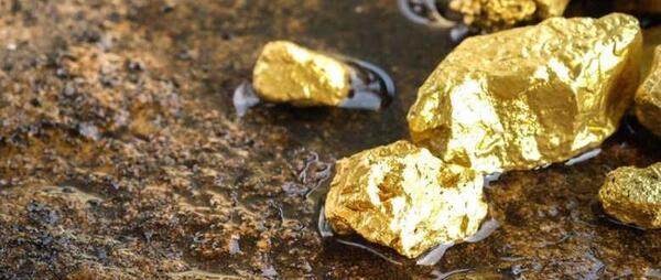 عکس سنگ طلا در معدن