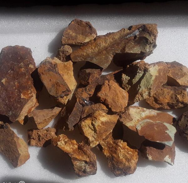 عکس سنگ طلا در معدن