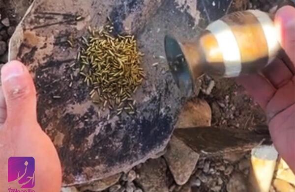 عکس گنج طلا واقعی