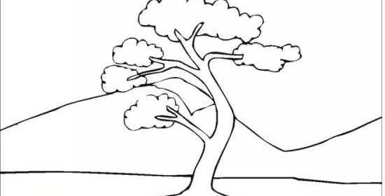 عکس درخت ساده برای نقاشی
