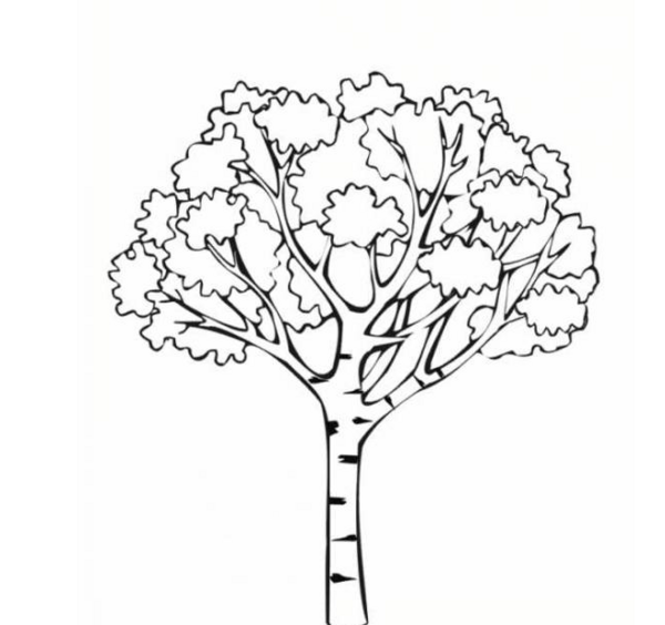عکس درخت ساده برای نقاشی