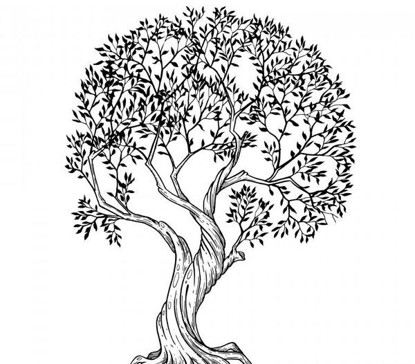 عکس درخت ساده برای نقاشی