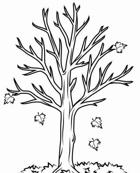 عکس درخت ساده برای طراحی
