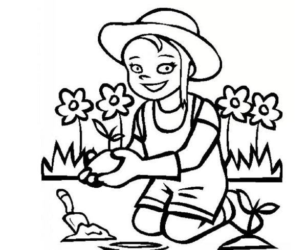 عکس درخت ساده برای طراحی