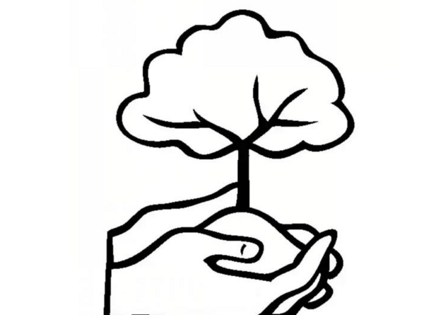 عکس درخت ساده برای طراحی