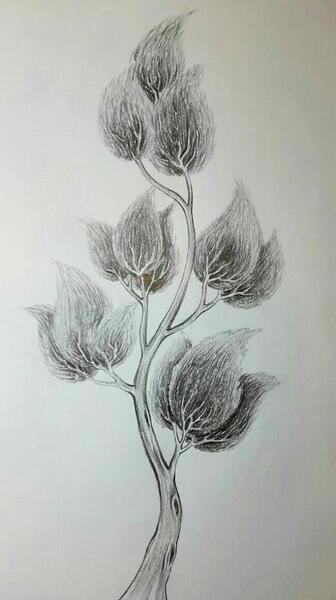 عکس درخت ساده برای طراحی