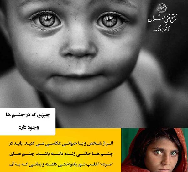 عکس پرتره چیست عکاسی