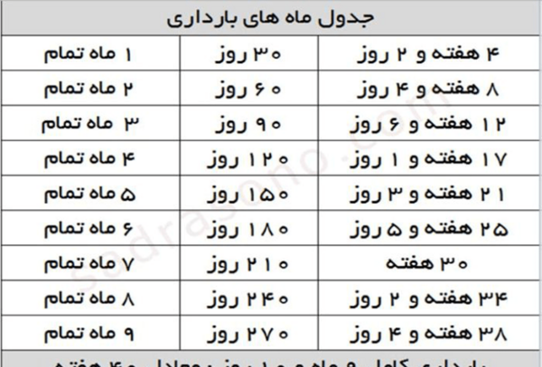 بارداری هفته به هفته با عکس