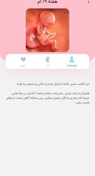 عکس جنین هفته به هفته بارداری