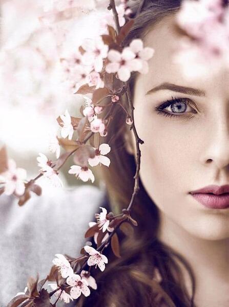 عکسهای حرفه ای پرتره
