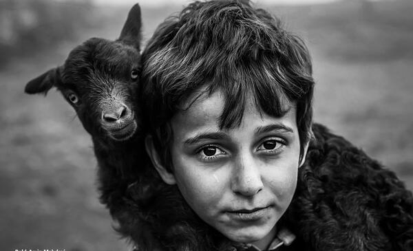 چگونه عکس های پرتره بگیریم