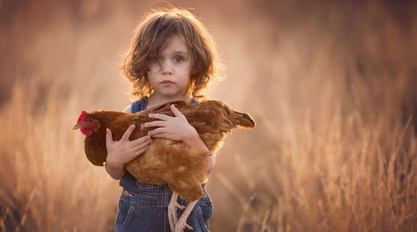 چگونه عکس های پرتره بگیریم