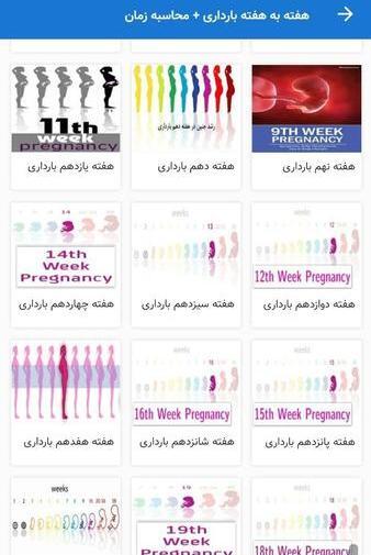 عکس های هفته به هفته بارداری