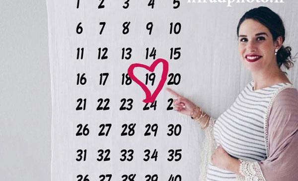 عکس هفته به هفته ی بارداری