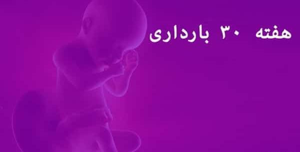 عکس هفته به هفته ی بارداری