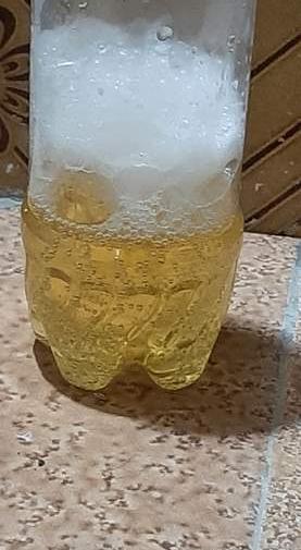 عکس تست بارداری با وایتکس چگونه است
