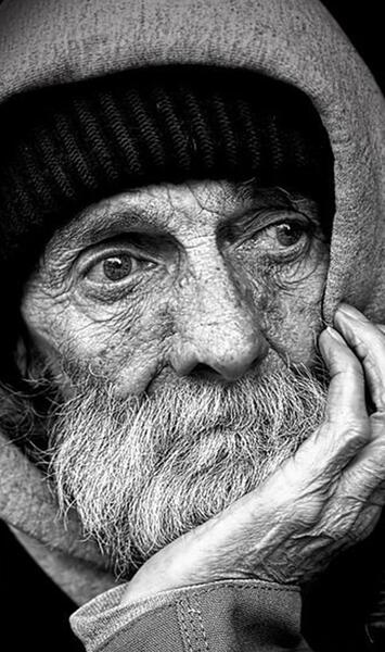عکس پرتره سیاه و سفید حیوانات