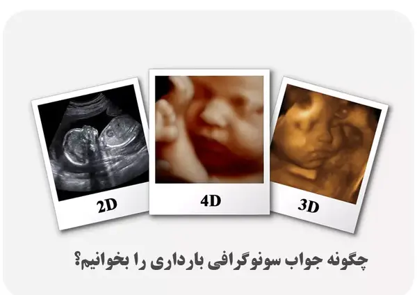 عکس از هفته اول بارداری تا اخر