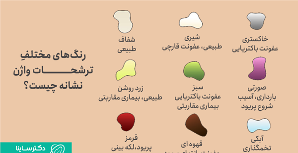 عکس ترشحات بارداری در هفته اول نی نی سایت