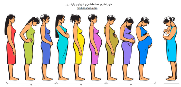 عکس بارداری در ماه اول
