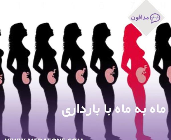 عکس جنین در ماه به ماه بارداری