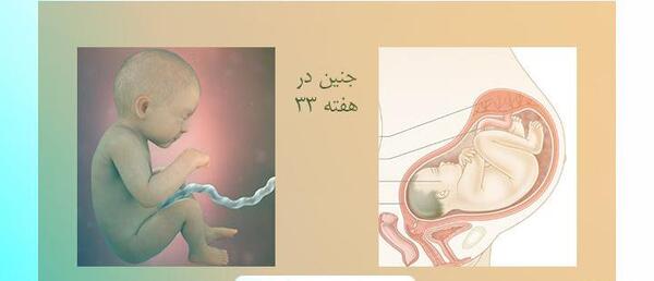 عکس بارداری بچه سوم