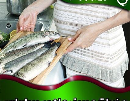 عکس بارداری ماهی قرمز