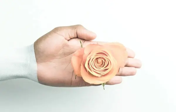 عکس ترشحات بارداری قبل پریود