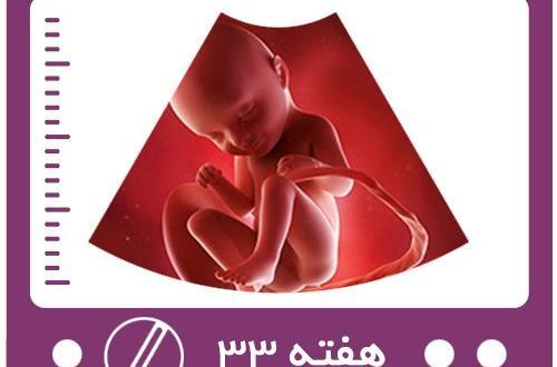 عکس بارداری هفته سوم