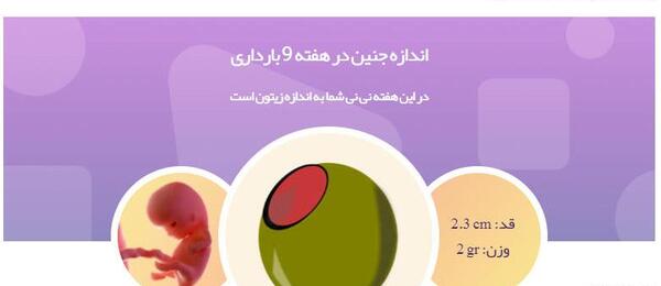 عکس ماه سوم بارداری