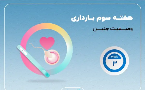 عکس جنین هفته سوم بارداری