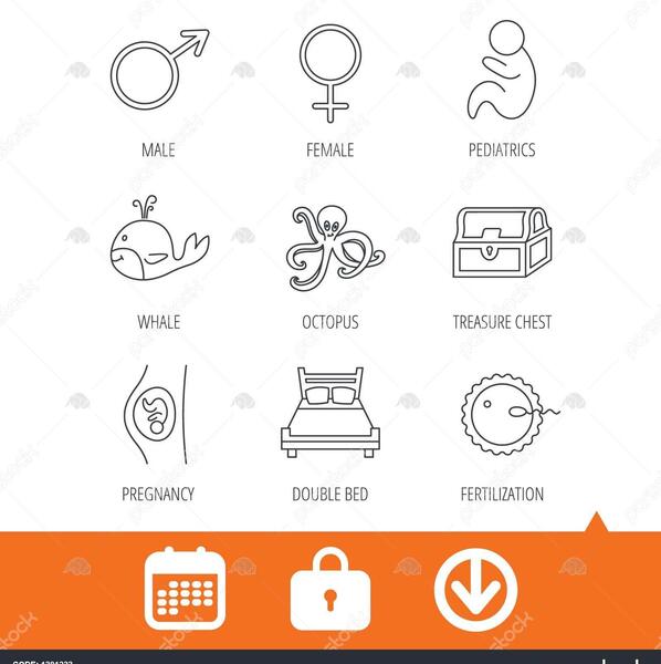 عکس تقویم چینی بارداری