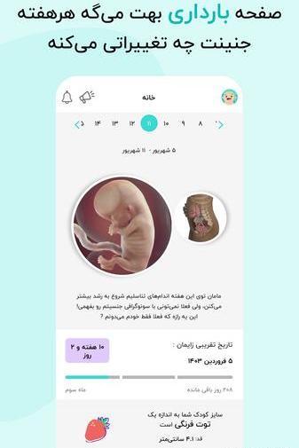 عکس نوشته بارداری جدید