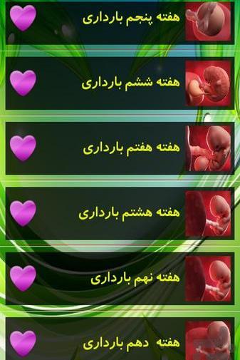 عکس از هفته به هفته بارداری