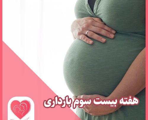 عکس از هفته به هفته بارداری