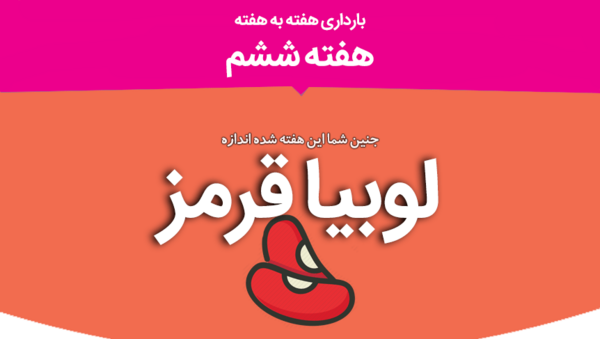 عکس از هفته به هفته بارداری