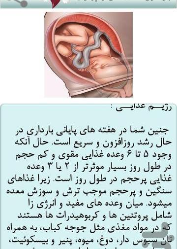 عکس از هفته به هفته بارداری