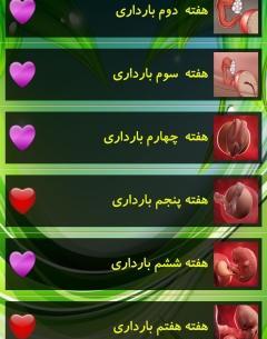 برنامه بارداری هفته به هفته با عکس