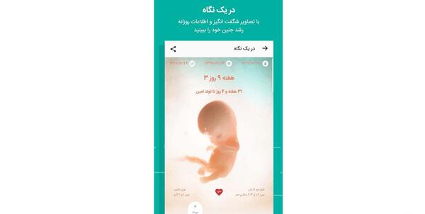 برنامه بارداری هفته به هفته با عکس