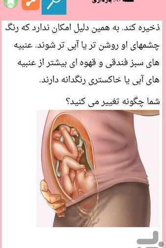 برنامه بارداری هفته به هفته با عکس