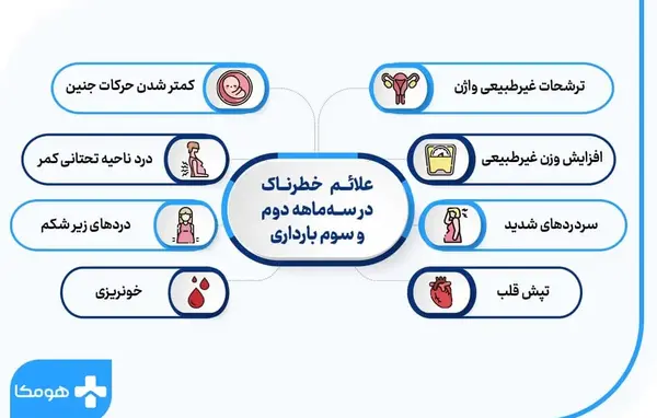 برنامه بارداری هفته به هفته با عکس