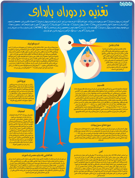 برنامه بارداری هفته به هفته با عکس