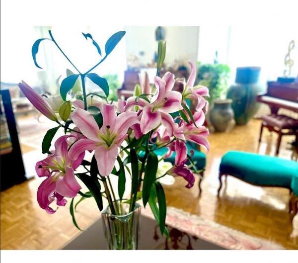 اوجی عکس بارداری طبیعی سزارین زایمان نرگس محمدی