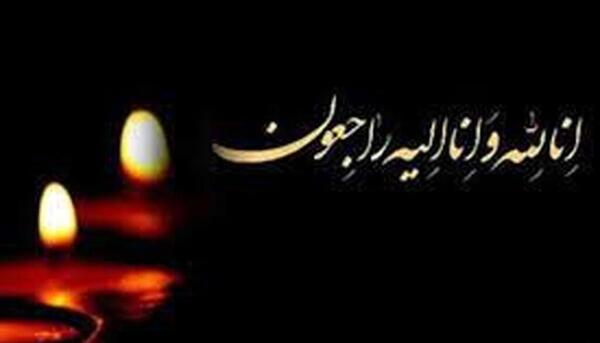 عکس همسر ضیا عربشاهی