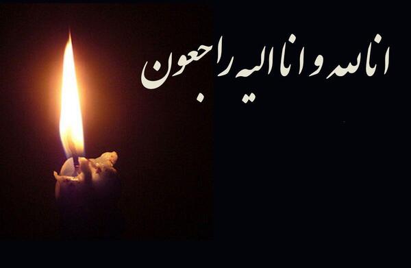 عکس همسر ضیا عربشاهی